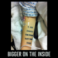 bigger_on_the_inside_cover